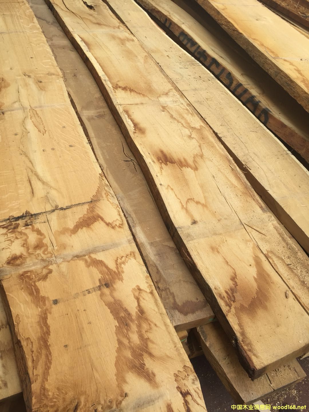 �W�ް���ľ��Ԕ��(x��)��B