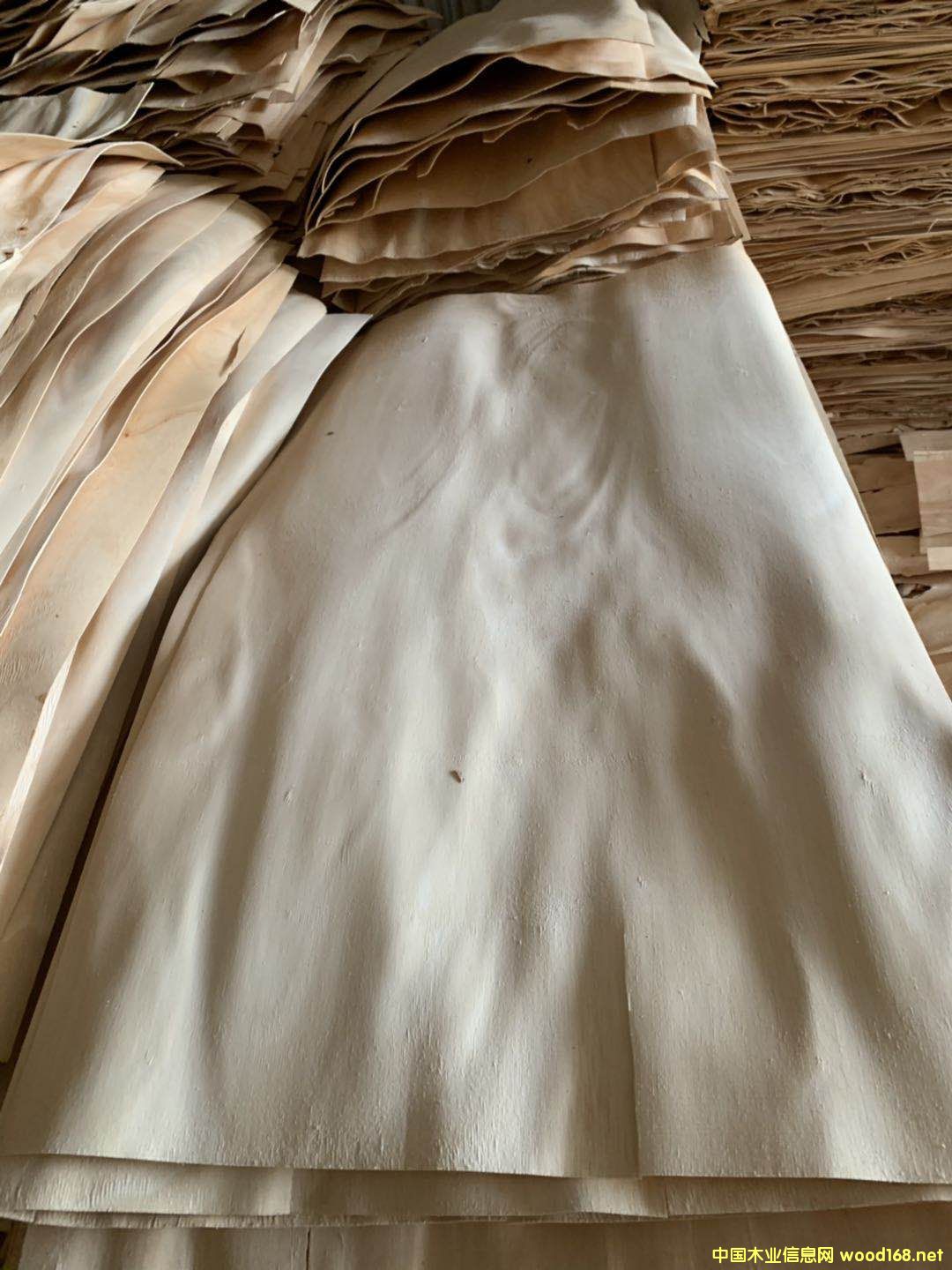 ���zľ�A��Ƥ