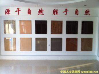 �����Ƽ�ľƤ��Ԕ��(x��)��B