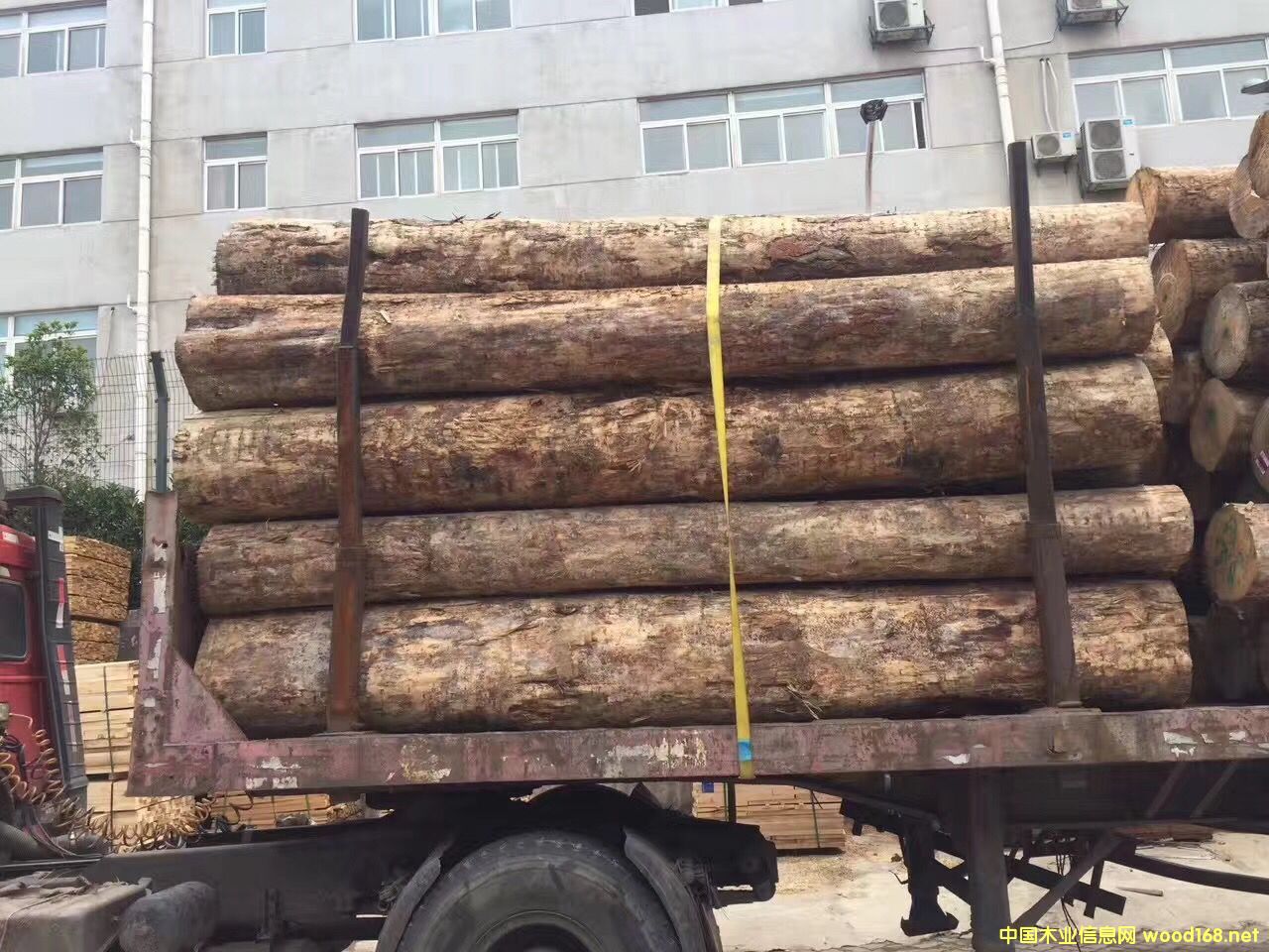  ������ ԭľ��Ԕ��(x��)��B