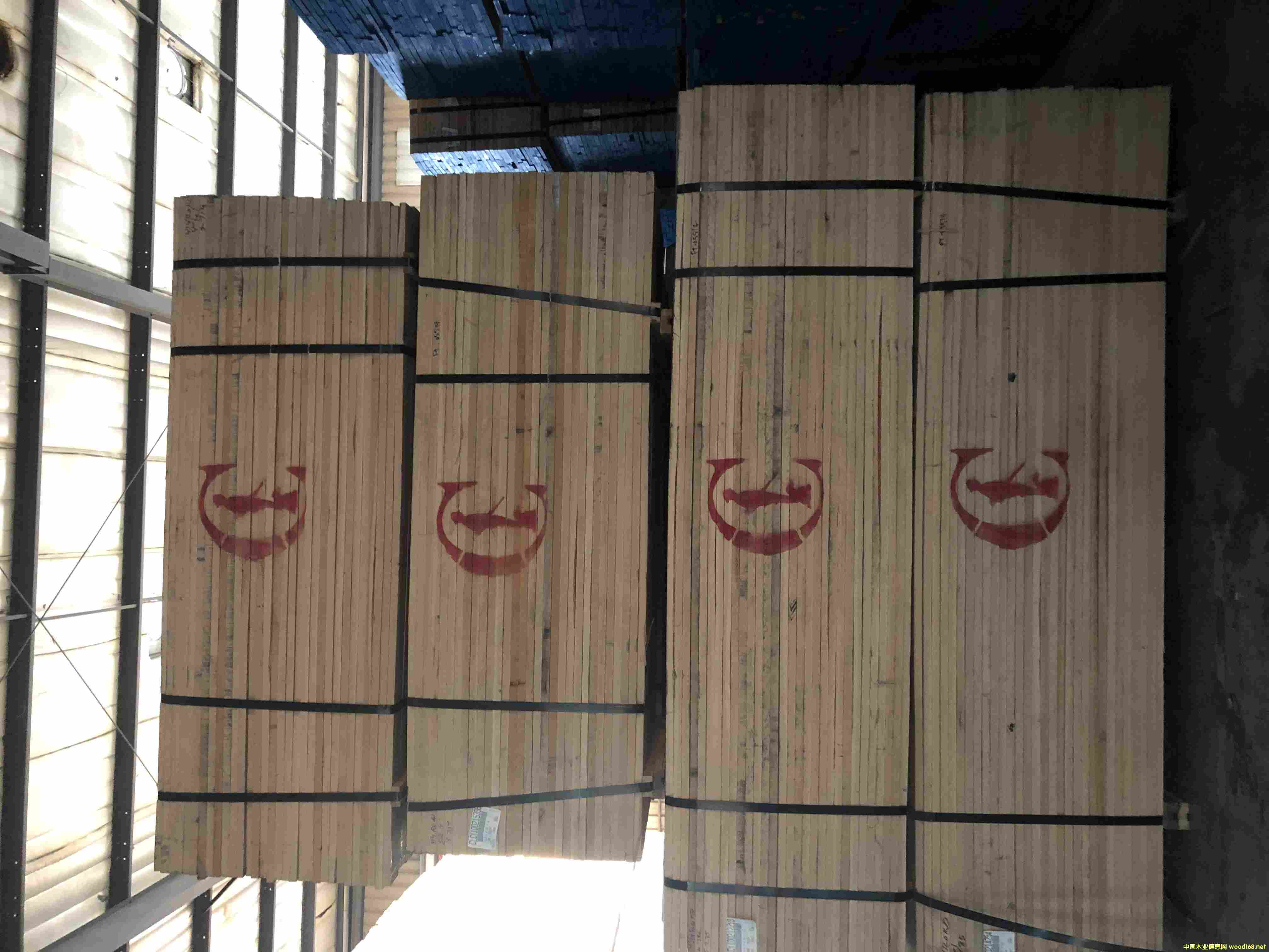 �t�C�˼t��