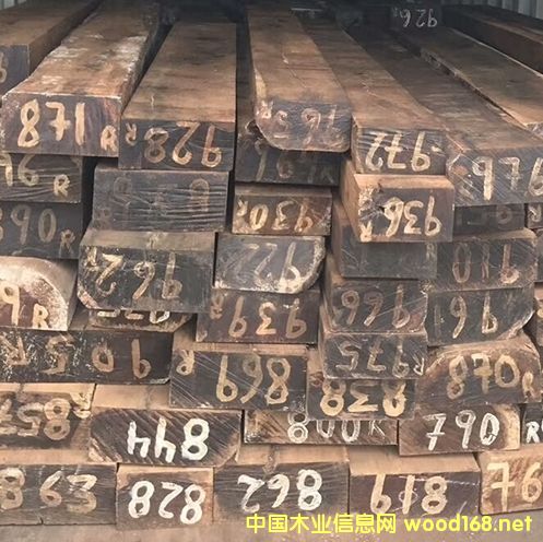 紅酸枝的詳細(xì)介紹