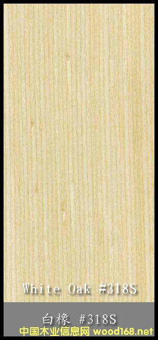 白橡的詳細(xì)介紹