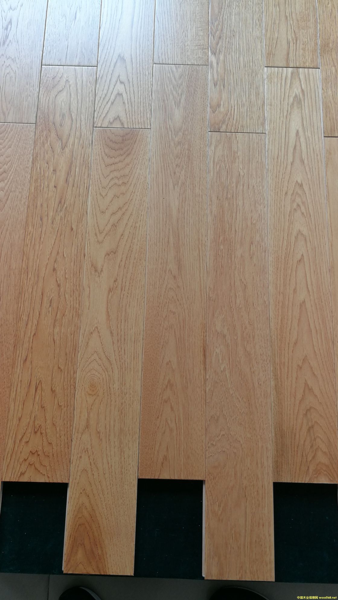 ��ľ��ľ�ذ��Ԕ����B