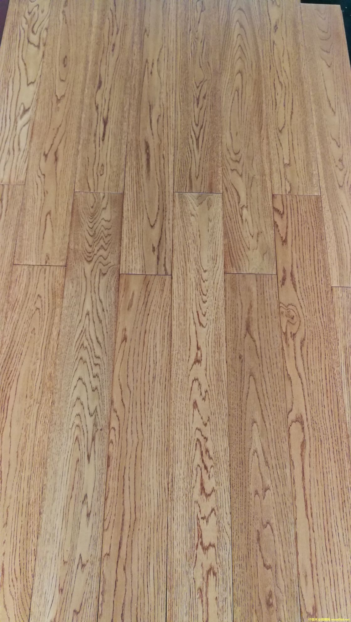 ��ľ��ľ�ذ��Ԕ����B