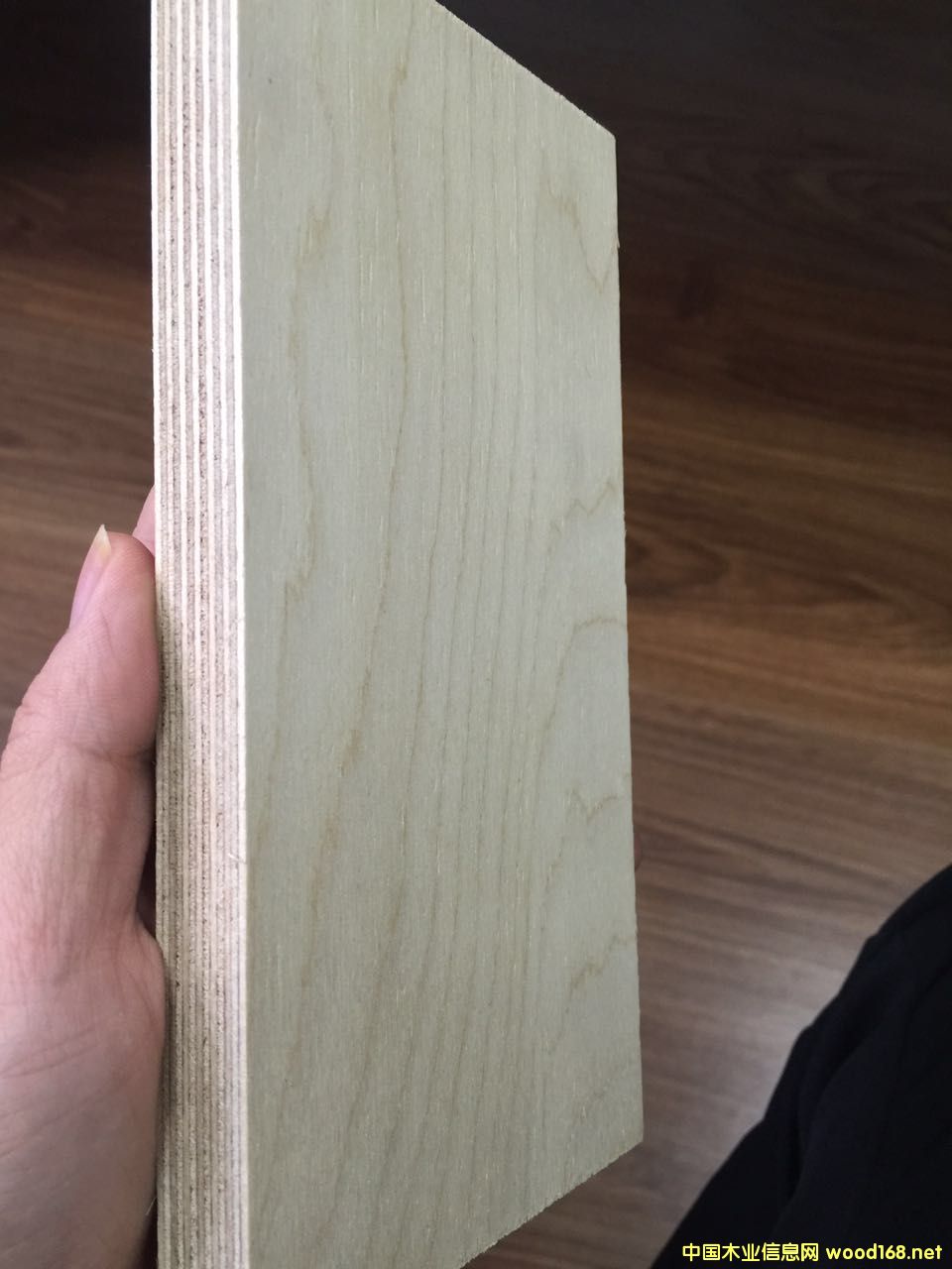 ȫ��ľ�z�ϰ��Ԕ��(x��)��B