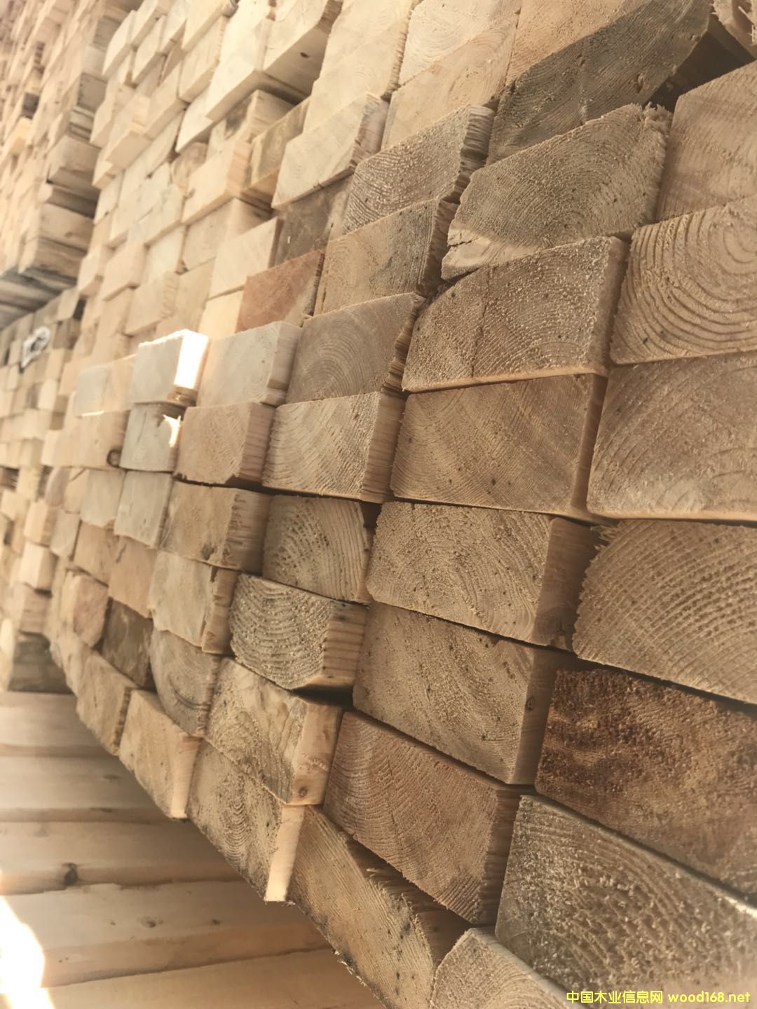 SPF MILLAR��Ԕ��(x��)��B