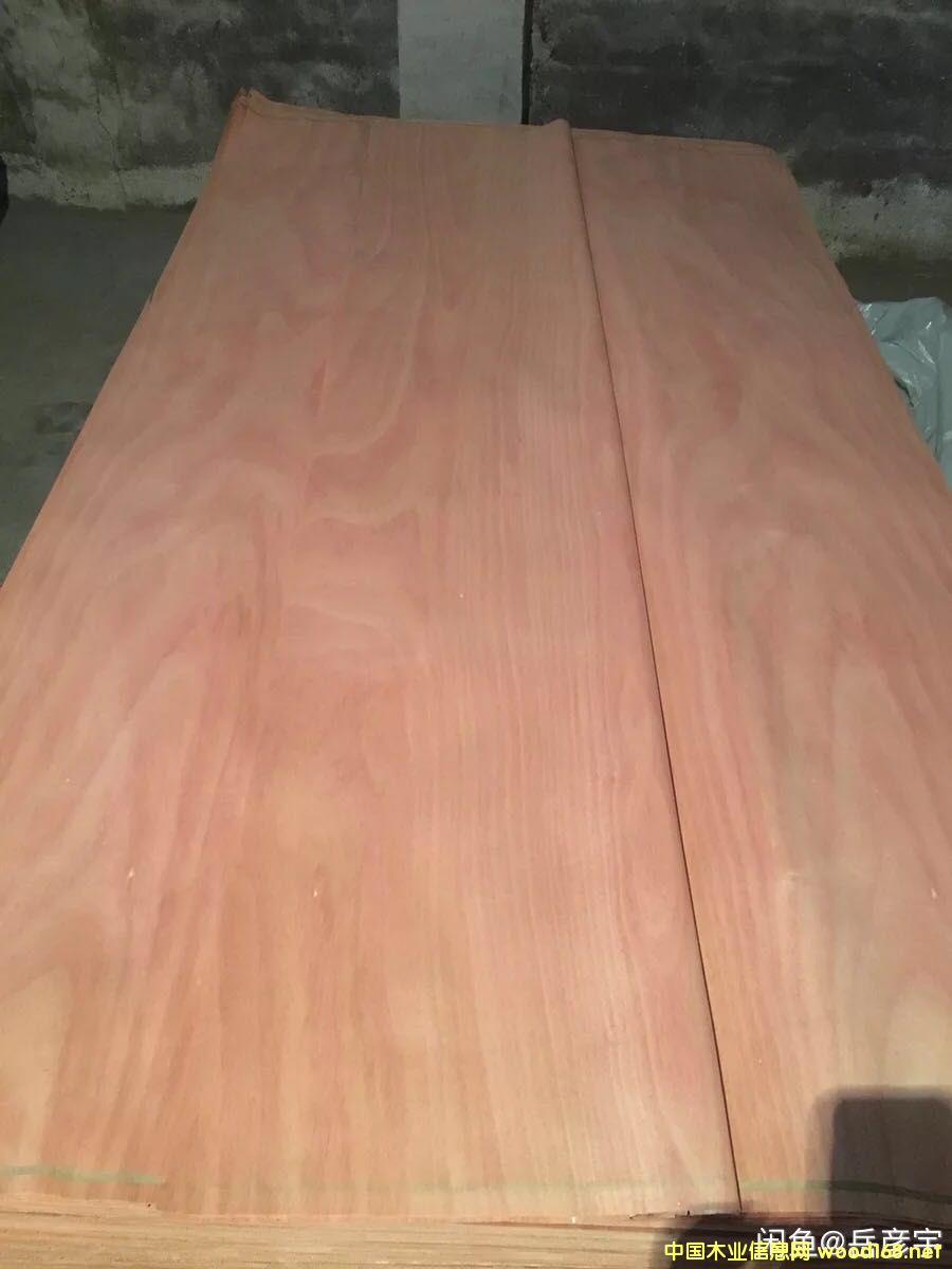 �һ�оľƤ��Ԕ����B