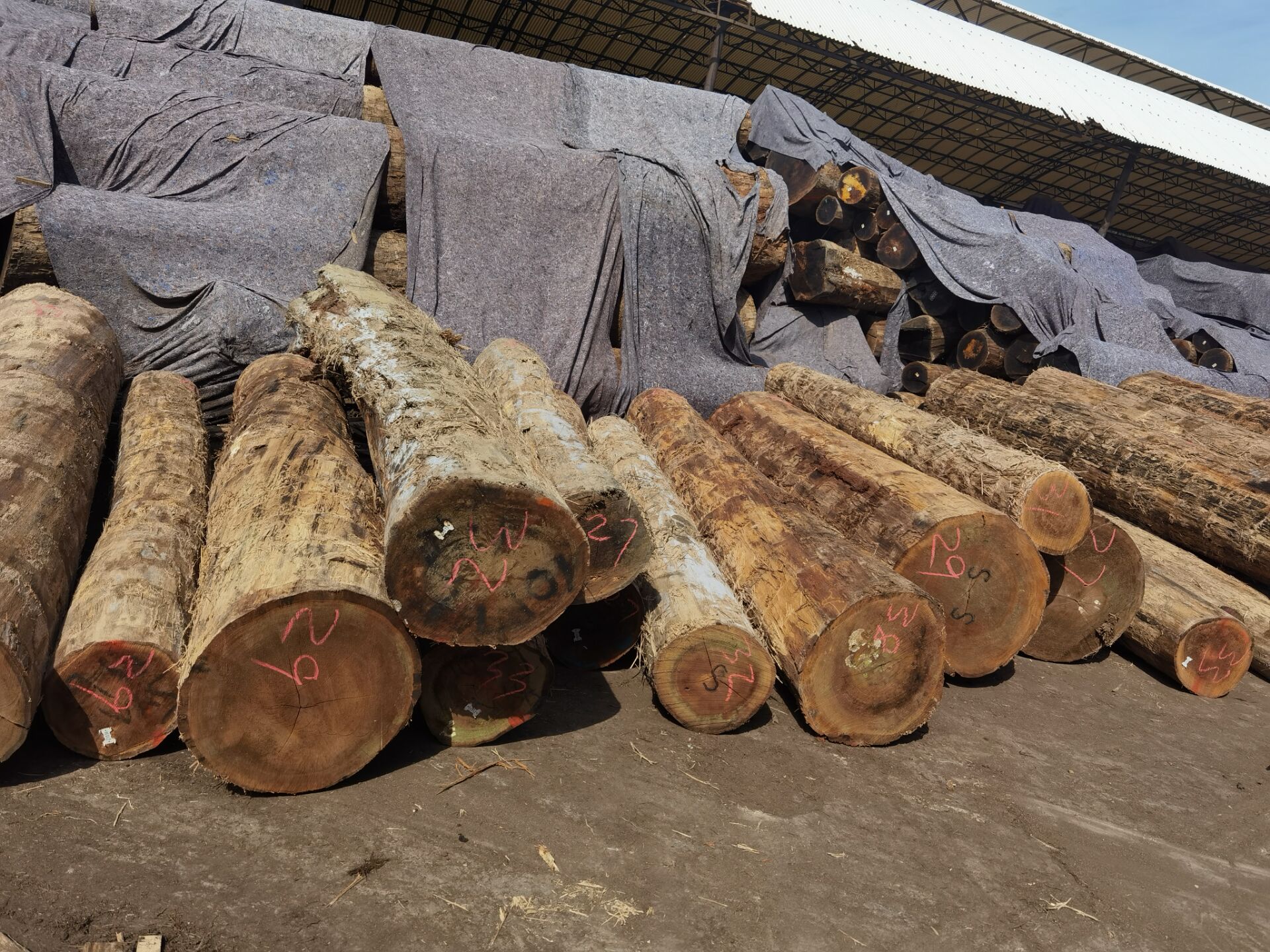 [��] ����(gu��)�t�𼃱���ԭľ