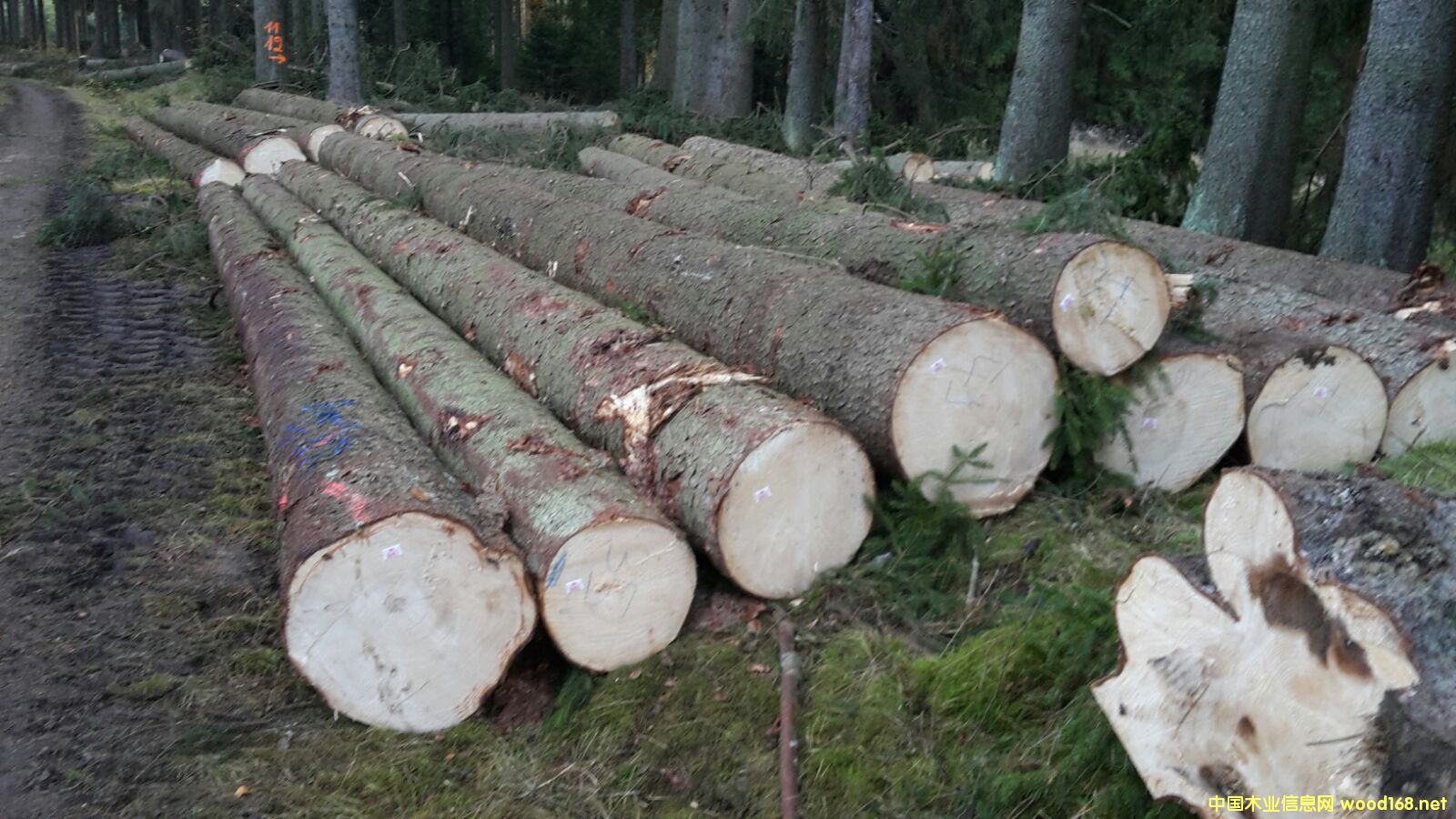 ��(gu��)��������ɼ