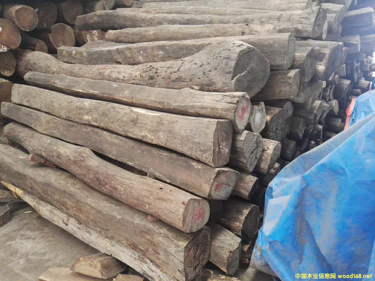 �c���鿴�W���S̴�Ŵ�DƬ