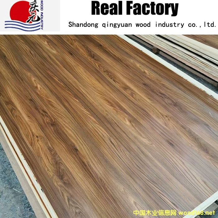 Grey1的詳細(xì)介紹