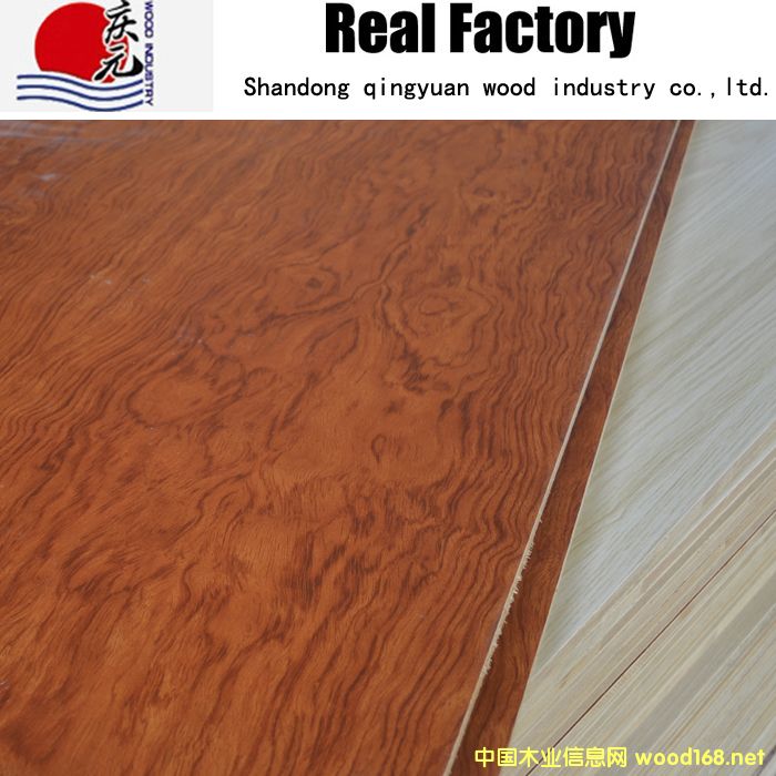 �h(hu��n)����(sh��)ľ��о���Ԕ��(x��)��B