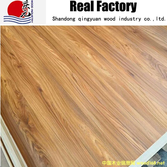 Grey的詳細(xì)介紹