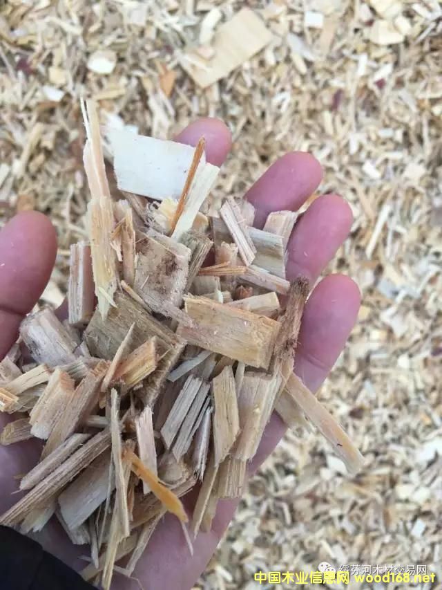 �c(di��n)���鿴�羳��ُ(g��u)�����_˹���~�����Іΰ�U��ľƬ��Ԕ��(x��)�Y��