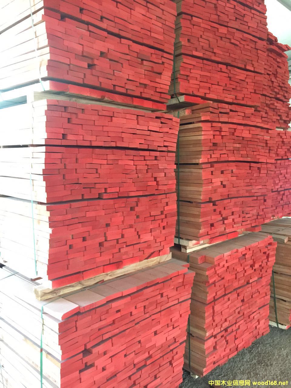 �c(di��n)���鿴��ľ�Ŵ�DƬ