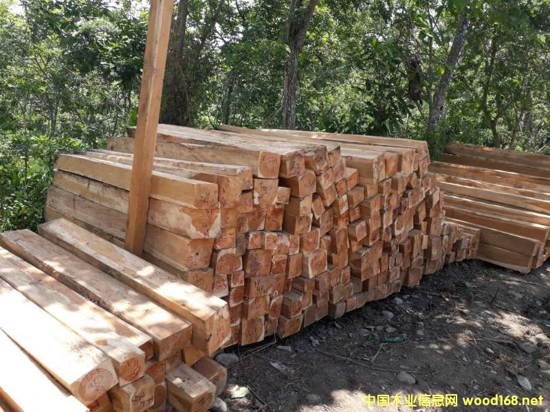 [��] �炐�ȁ���ľ����