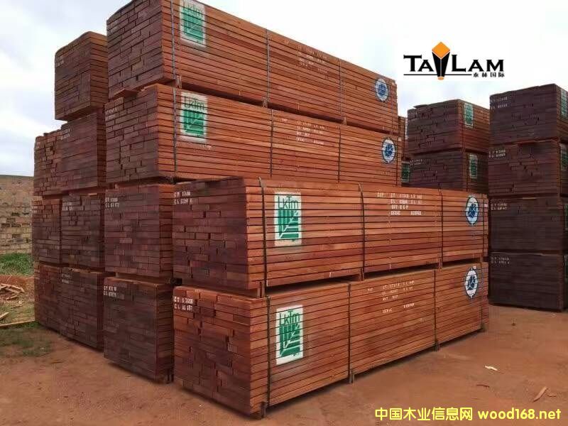 [��] ɳ����