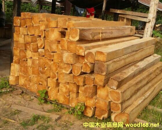 [��] �炐�ȁ���ľ����