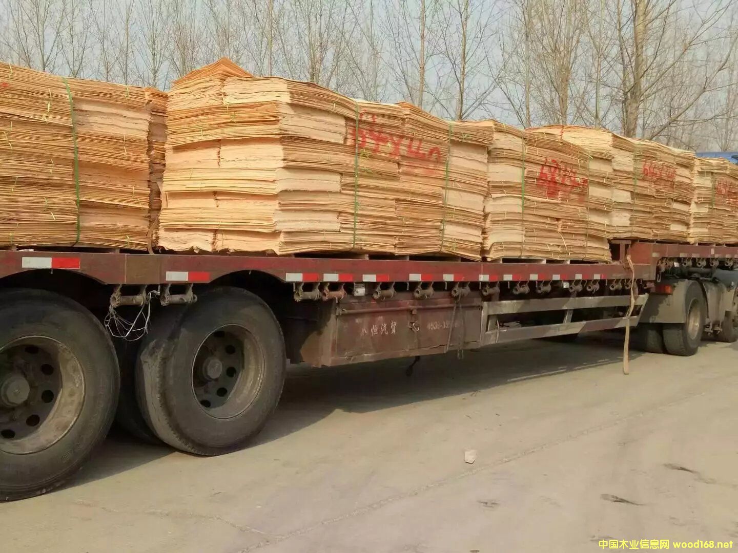 ��ľ��Ԕ����B