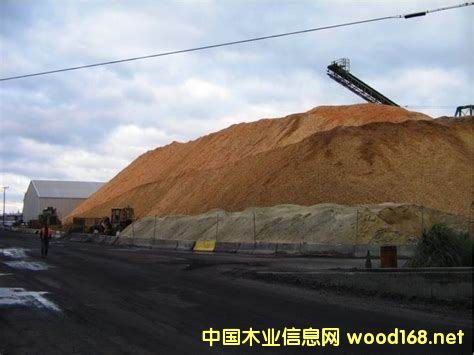 �M(j��n)������(gu��)�Ϸ���ľƬ