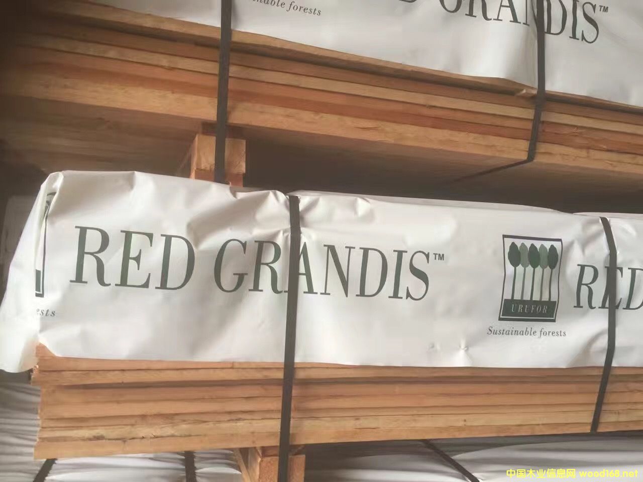 [��] ������õ��ľ