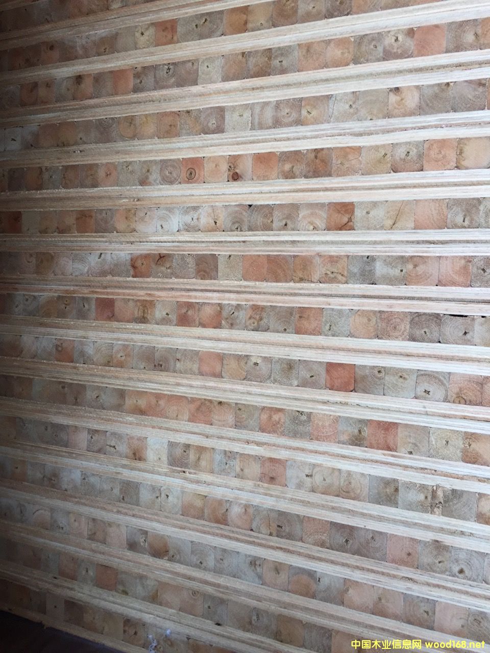 ��ľľо�T�װ��Ԕ��(x��)��B