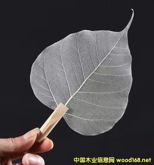 [��] �����~��©