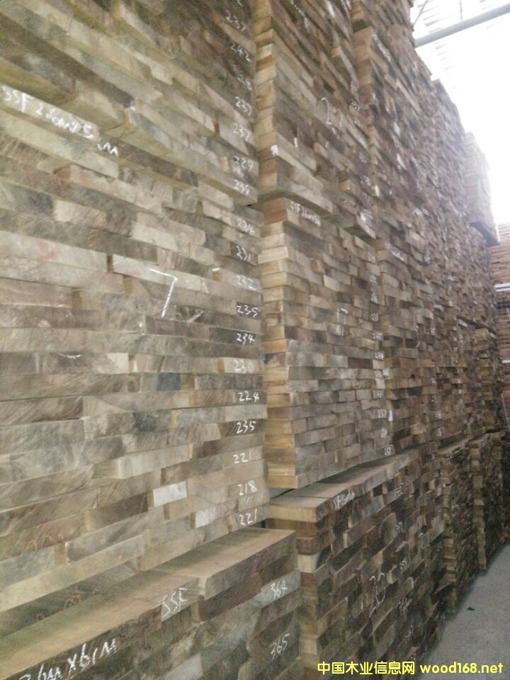 �����z��ľ��Ԕ��(x��)��B