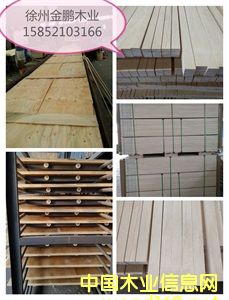 lvb�T���Ԕ��(x��)��B