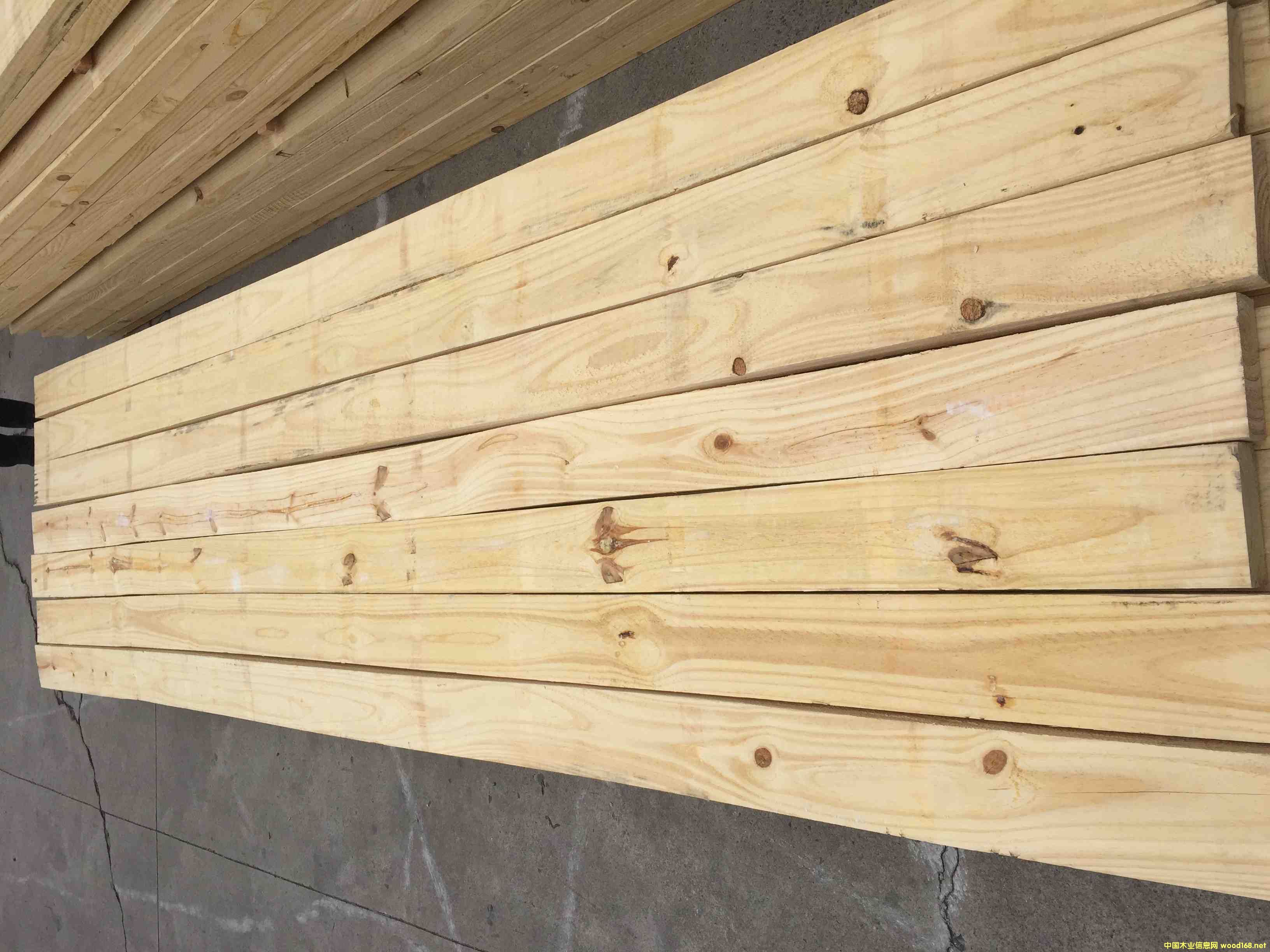 ���������M(j��n)�ڰ�ĵ�Ԕ��(x��)��B