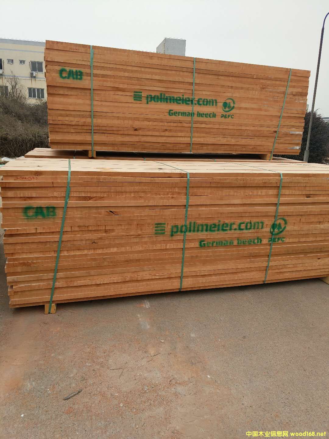 ��(gu��)��ľɰ���