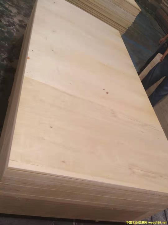 ɳ�l(f��)��