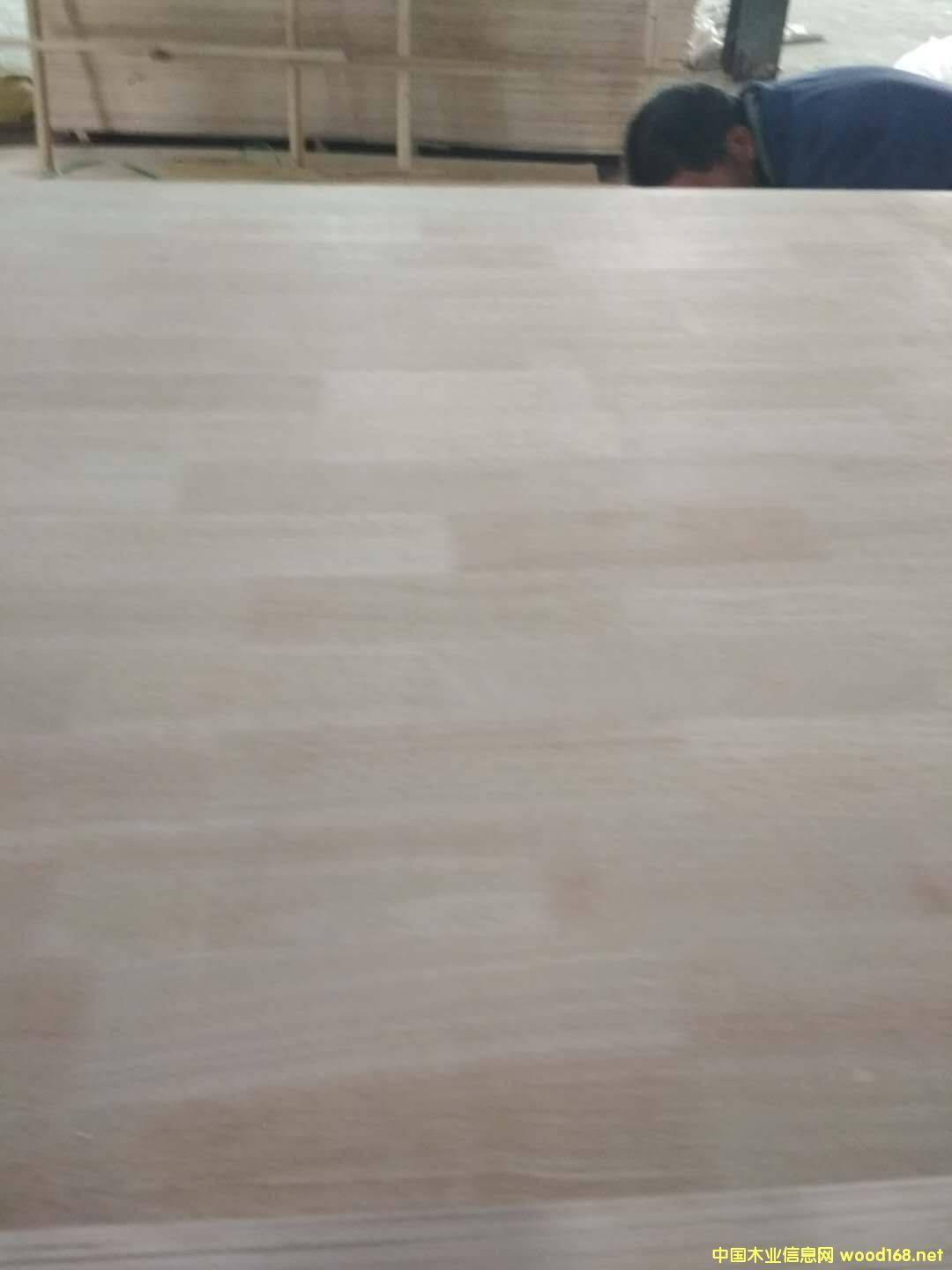 [��] �N������Ҿ߰�