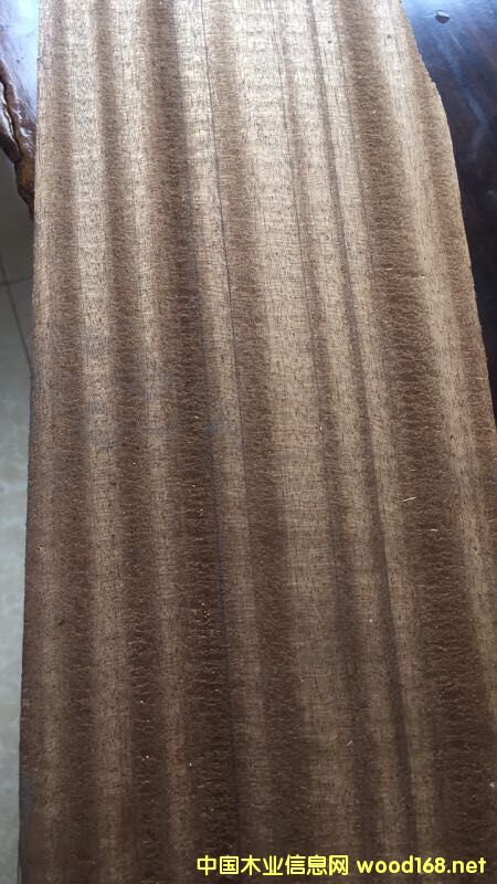 [��] ����ľ���