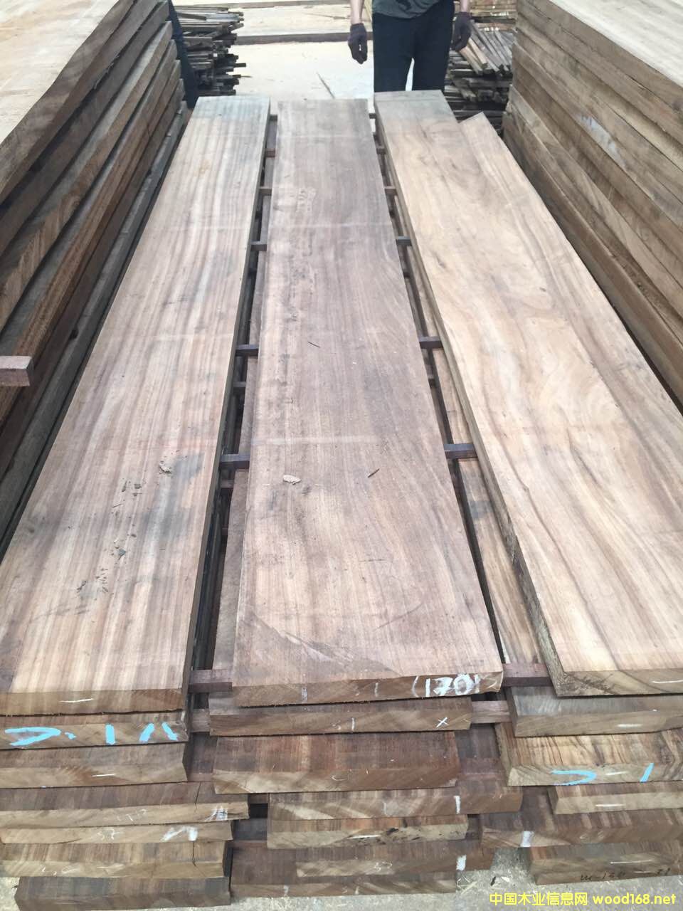 [��] �Sõ���M(j��n)�ڰ��