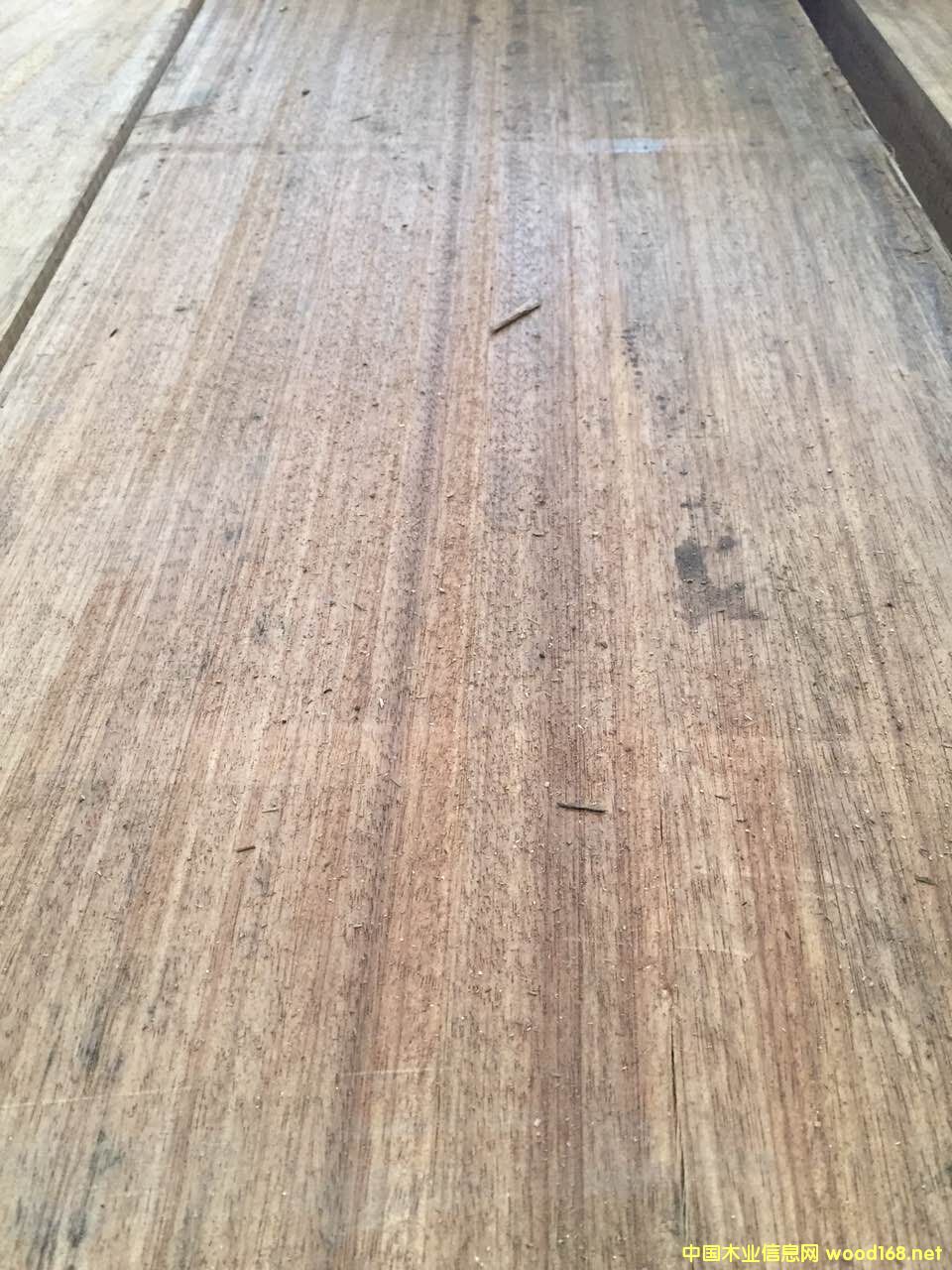 [��] �Sõ���M(j��n)�ڰ��