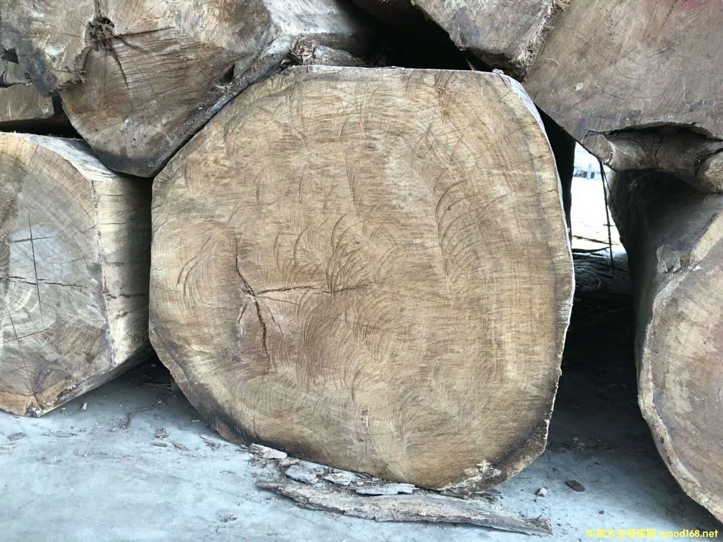 [��] ���ȁ���Ʒ�����̴ľ��