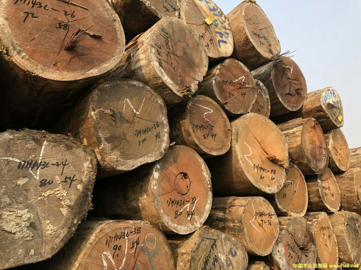 ��������ľ��Ԕ��(x��)��B