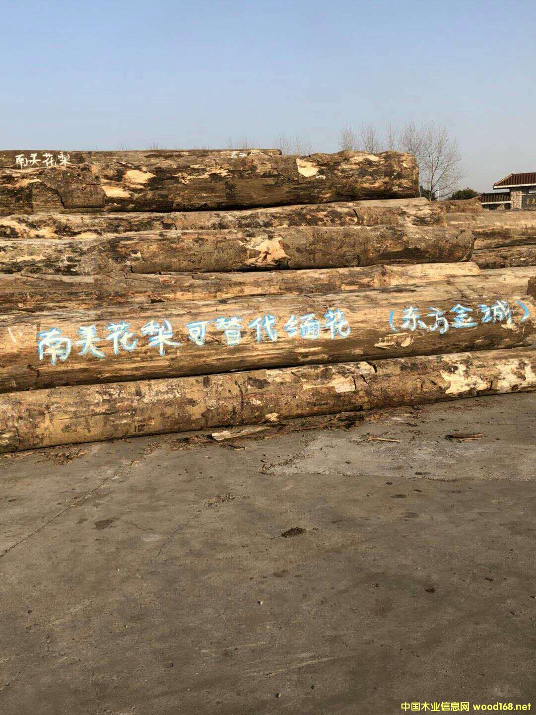 ��������ľ��Ԕ��(x��)��B