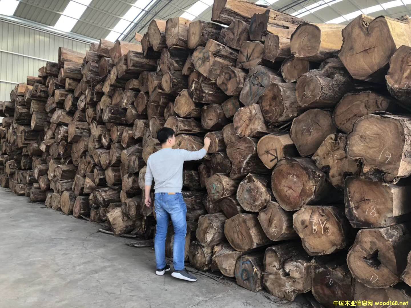 [��] ���ȁ���Ʒ�����̴ľ��