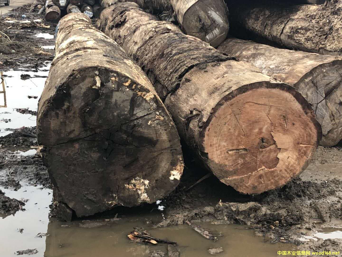 �������~�S�����Ԕ��(x��)��B