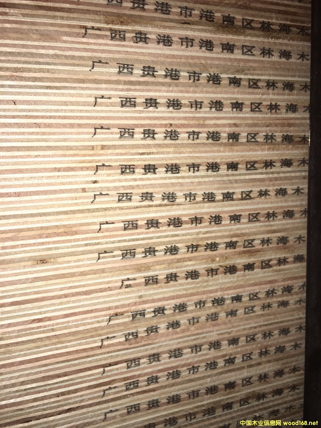  �N����Ӱ��Ԕ����B