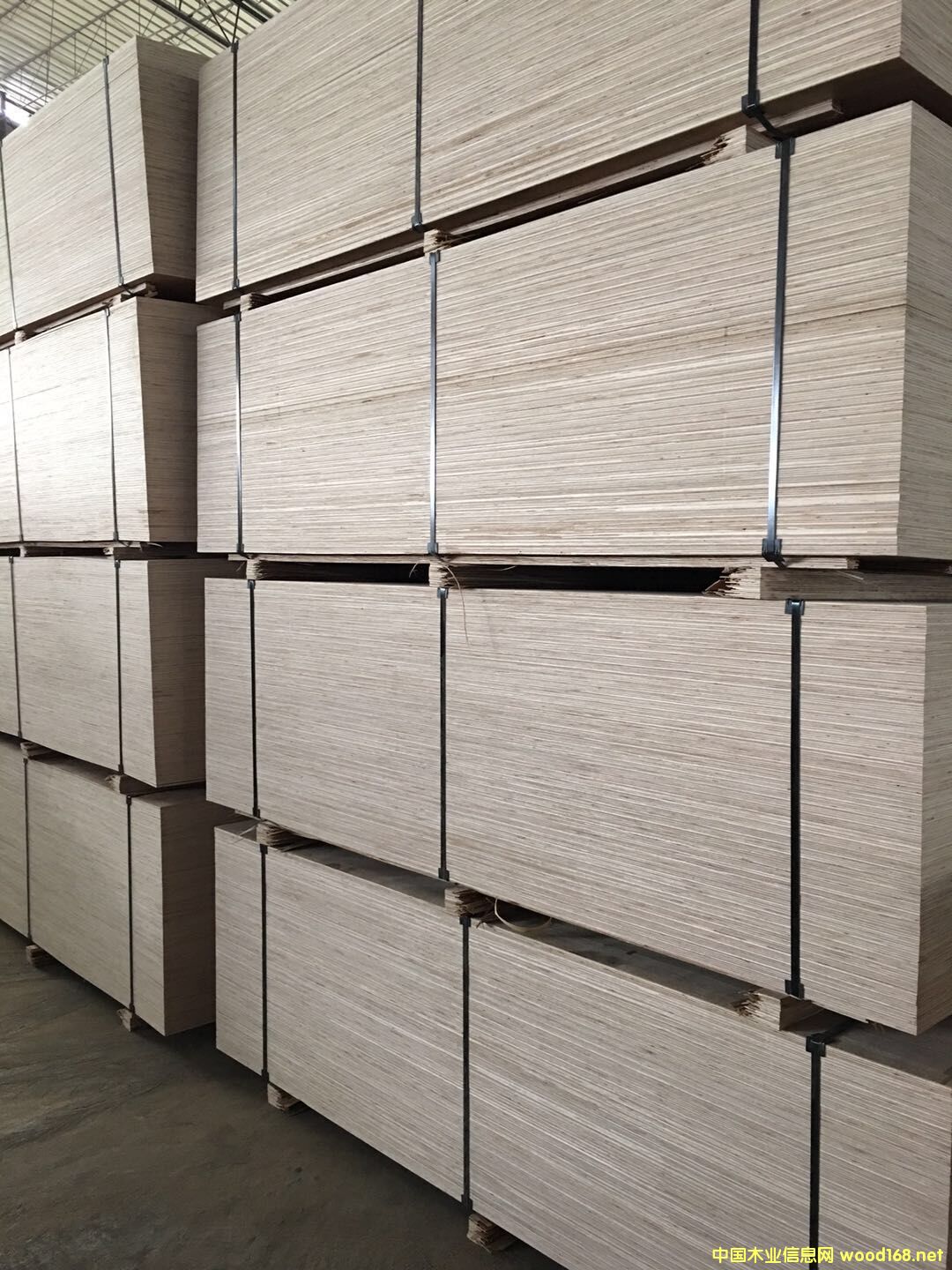 ͬ��������b�����Ј����Ԕ����B