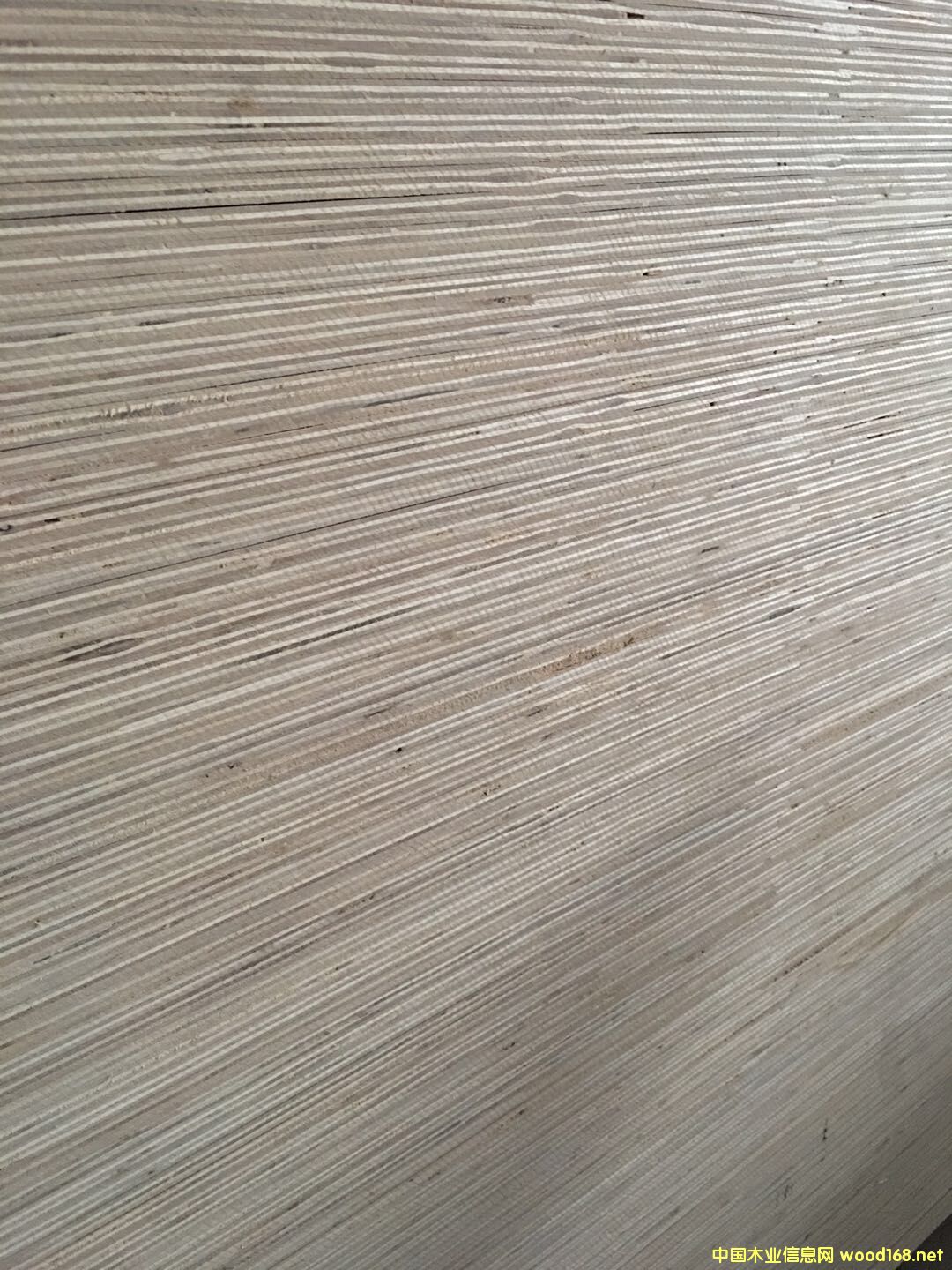  �N����Ӱ��Ԕ����B