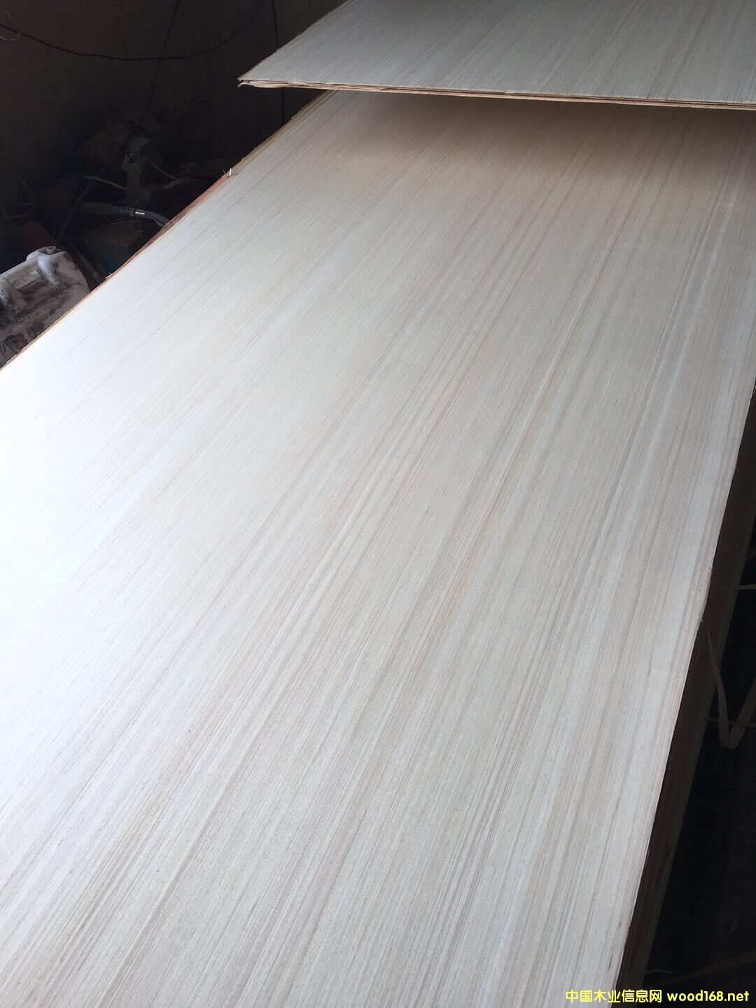  �N����Ӱ��Ԕ����B