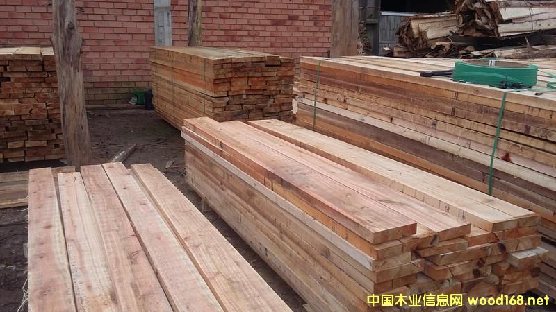 õ����ľ F.A.S �й�(ji��)�c(di��n) AD��Ԕ��(x��)��B