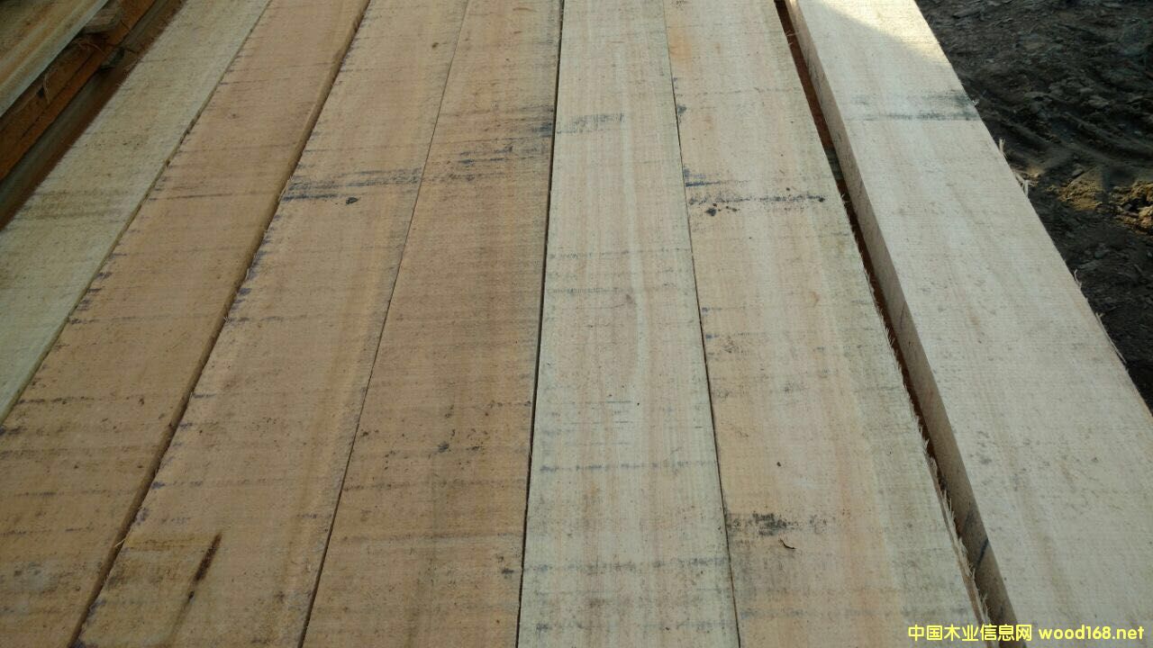 õ����ľ F.A.S 피�(j��) �������o(w��)��(ji��)�c(di��n)