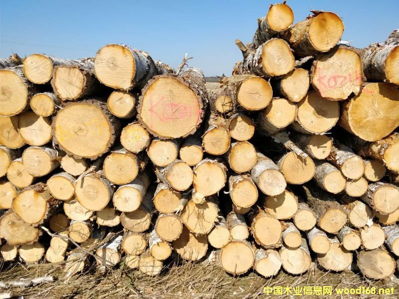 ��ľԭľ��؛��Ԕ��(x��)��B