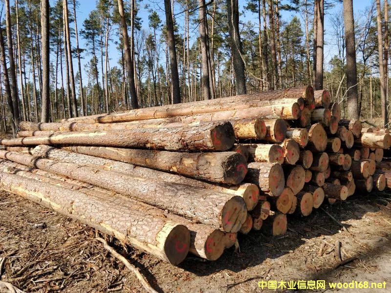 ������ԭľ��؛��Ԕ��(x��)��B